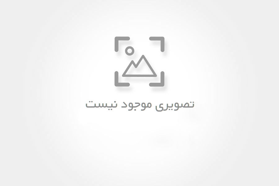 تنورگازی دو چدن چهارسینی خانگی مدل استیل